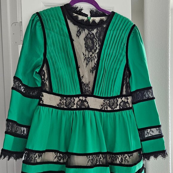 Victorian Luxe Dress - Picture 3 of 4